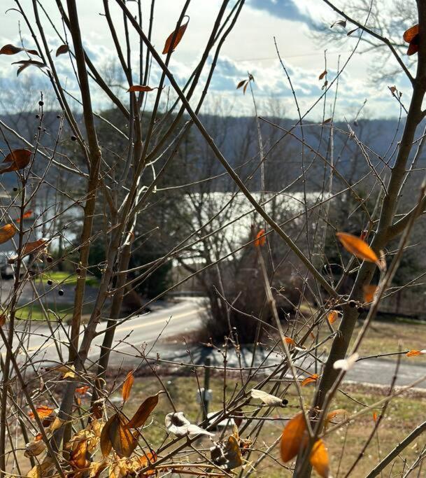Driftwood Cottage With Hot Tub On Lake Cumberland Russell Springs ภายนอก รูปภาพ